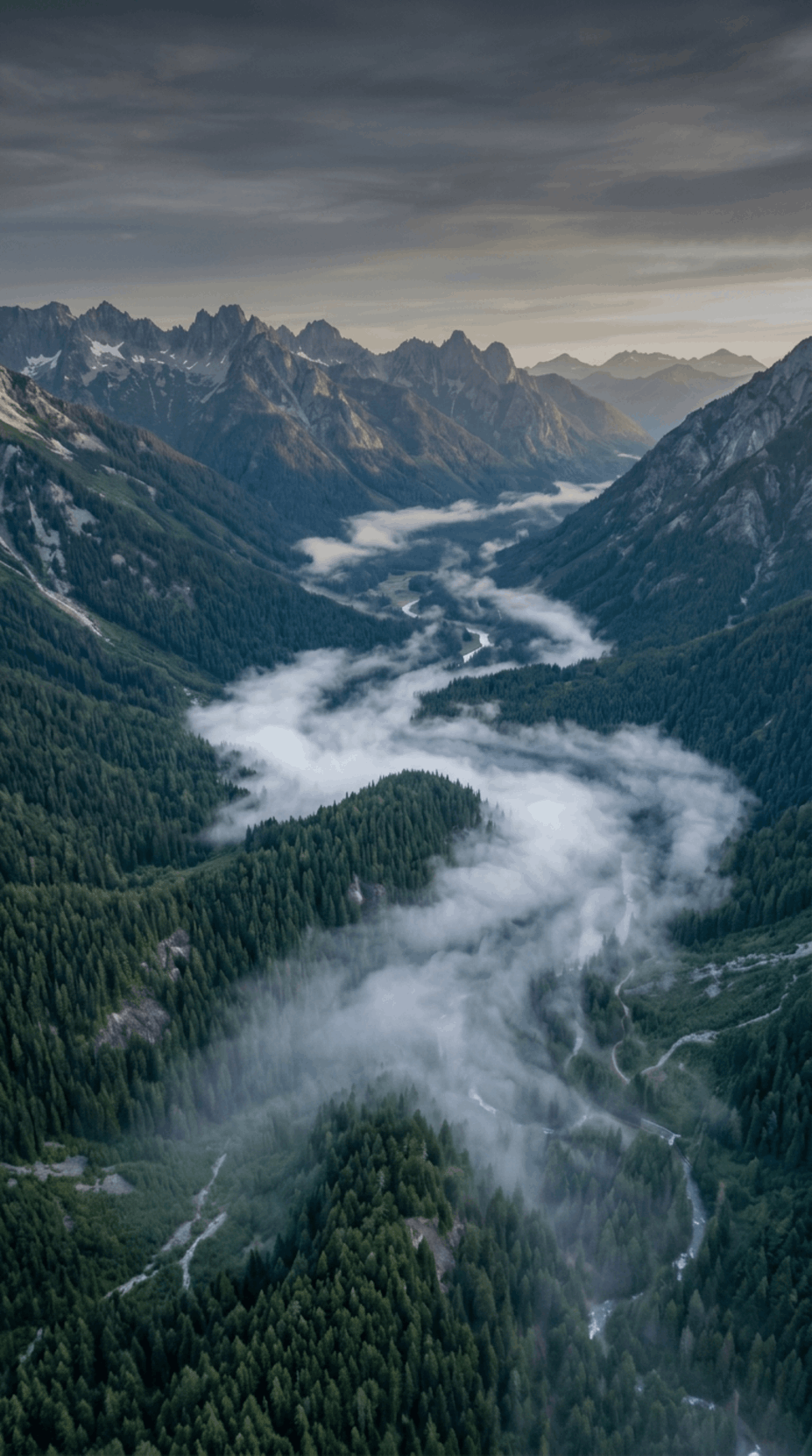 A mountain valley layered with fog and evergreen forest.